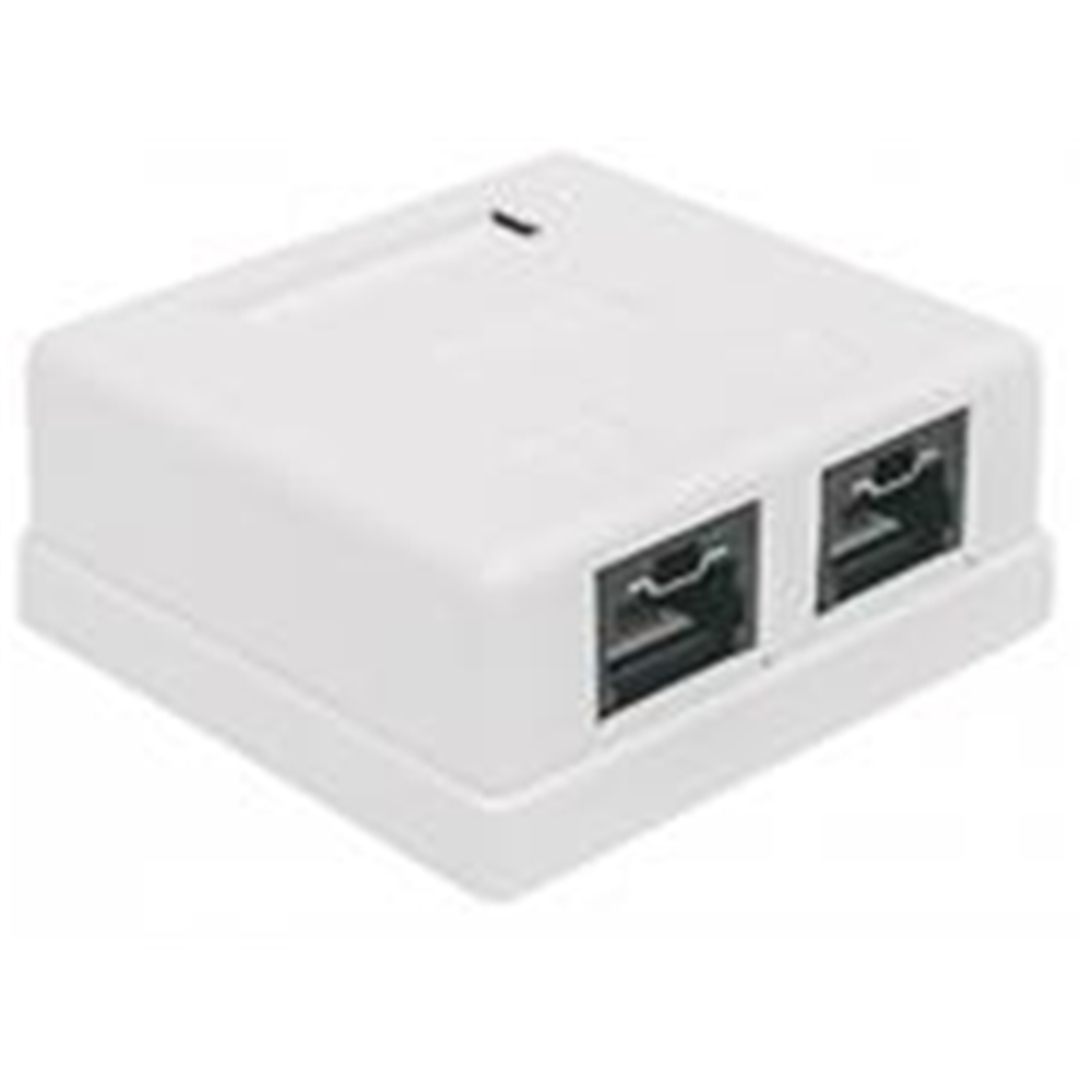 Intellinet Locking Cat6 UTP Mount Box