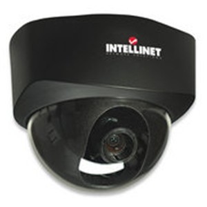 Intellinet NFD30 Network Dome Camera