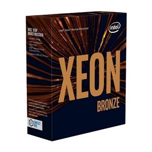 Intel Xeon Scalable bronze 3106 ( support dual cpu socke