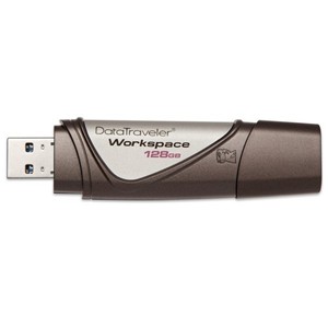 kingston dtWS/128gb datatravel